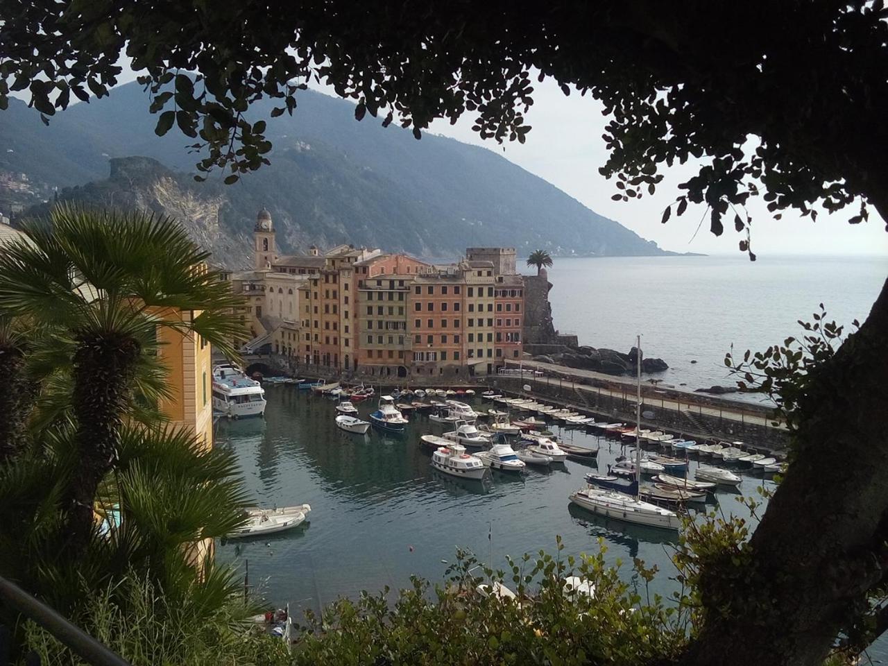 Casa Teresina A Camogli Διαμέρισμα Εξωτερικό φωτογραφία