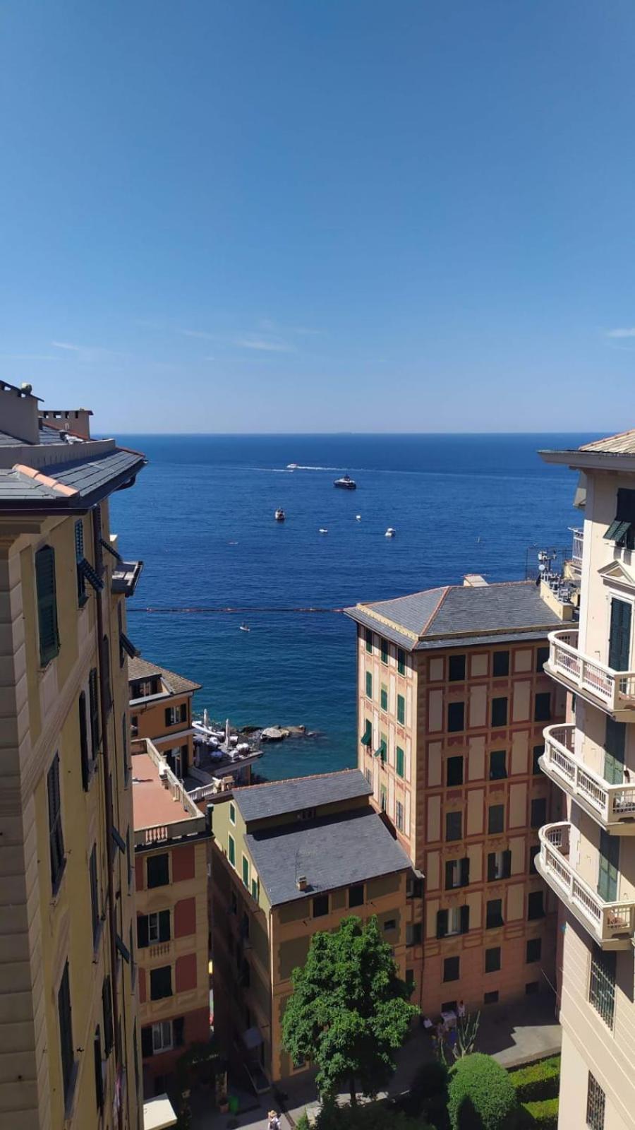 Casa Teresina A Camogli Διαμέρισμα Εξωτερικό φωτογραφία